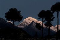 Himalayan Dawn