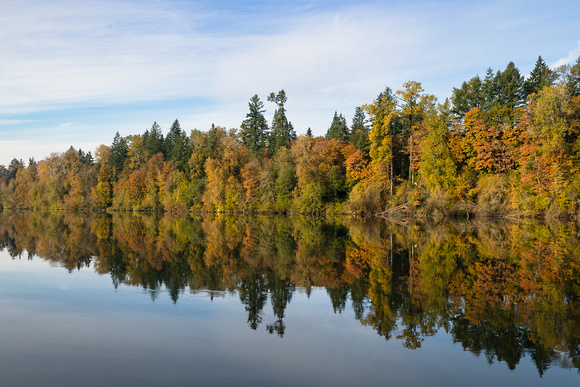 Willamette River Autumn Reflections
