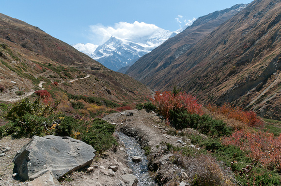 Annapurna Autumn V