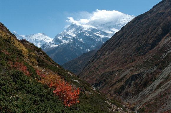 Annapurna Autumn III