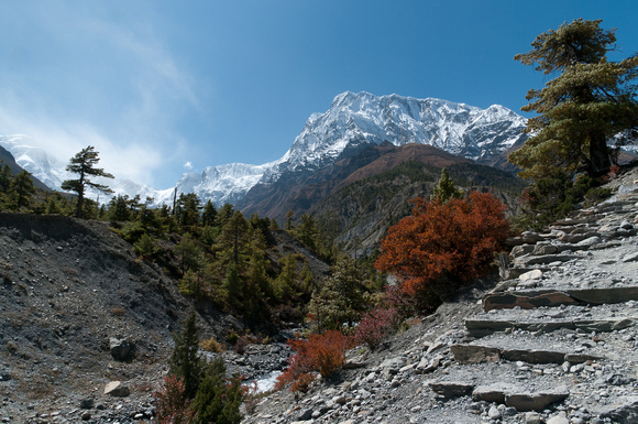 Annapurna Steps