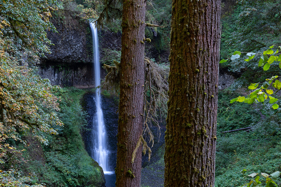 Middle Falls Silver Falls