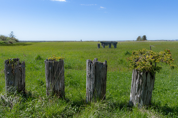 Fort Stevens Trestle