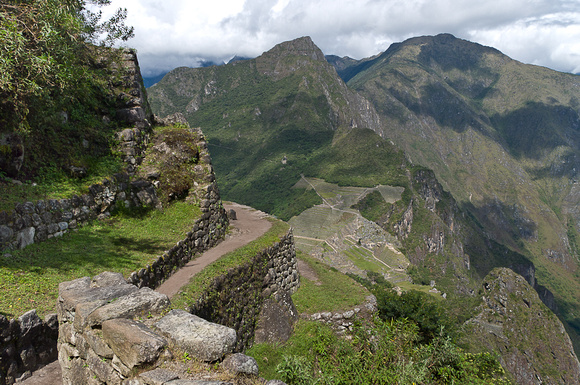 Machu Picchu Condor